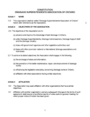 DSAO Constitution Document